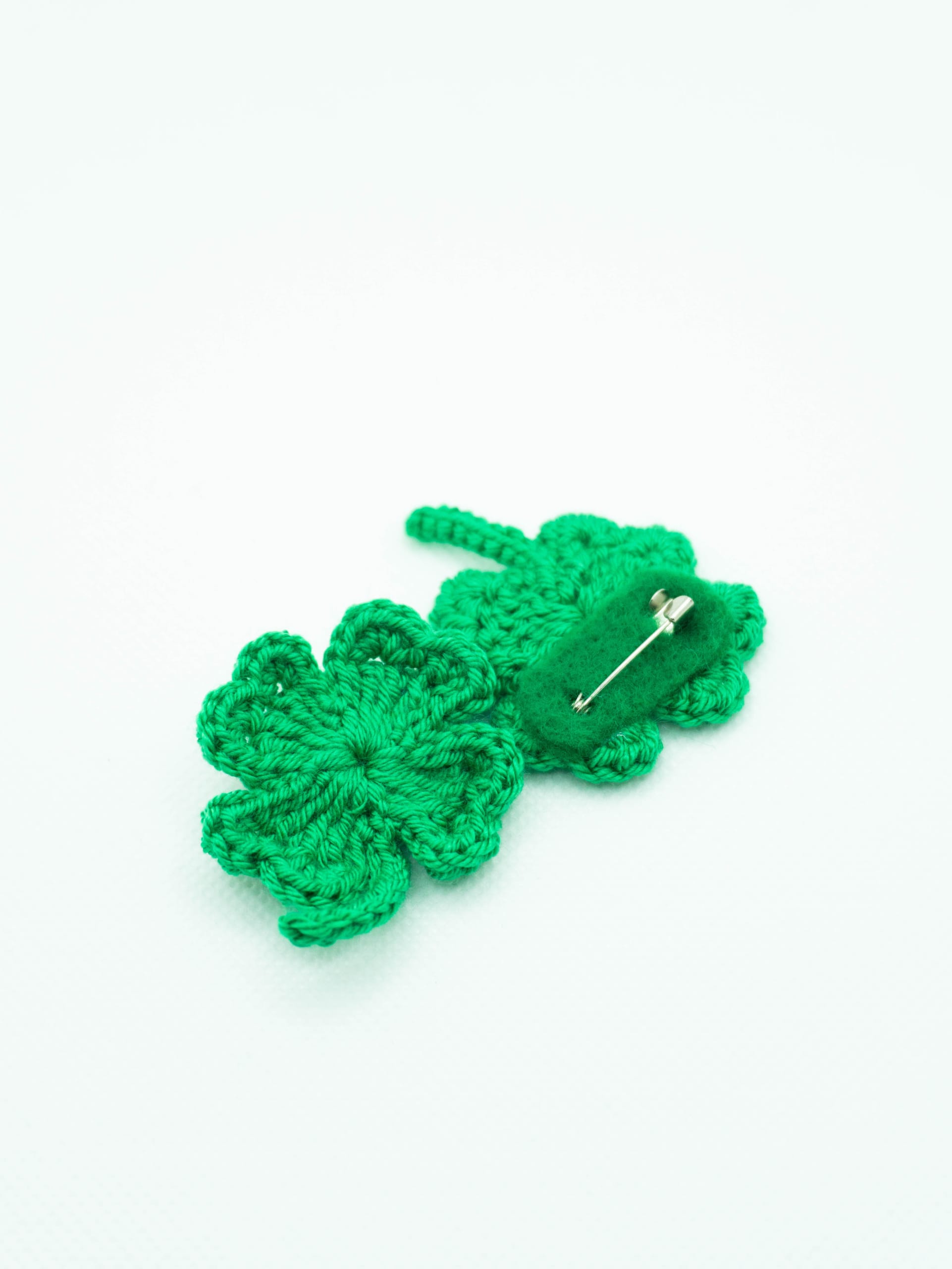 DSC02394-scaled Broșa trifoi - imagine 1